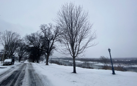 snowy road in winter