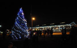 City Christmas tree lit up at Haymarket Square