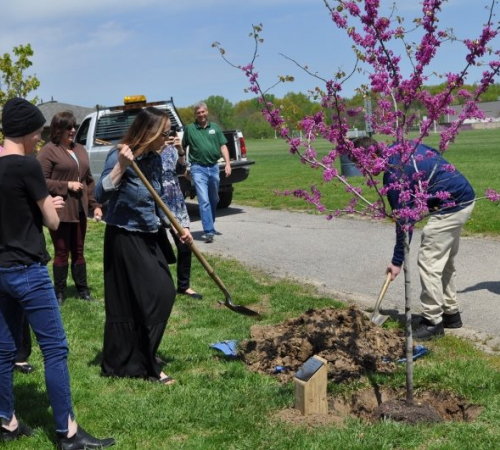 2019 Arbor Day Tree