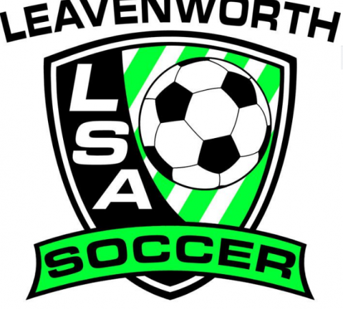 LSA Logo