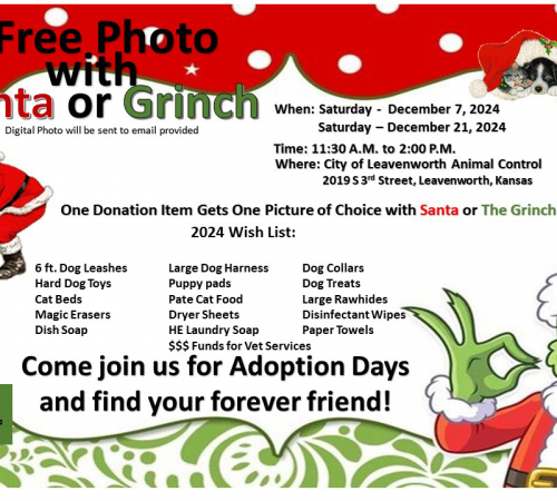 Flyer reads text below with images of Santa and the Grinch in red and green