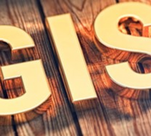 Image of a yellow sign text above woodgrain with words GIS