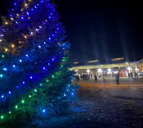 In November 2022, Mayor Camalla Leonhard and First-Grader Jonathan Harmon  officially lit the tree at Haymarket Square.