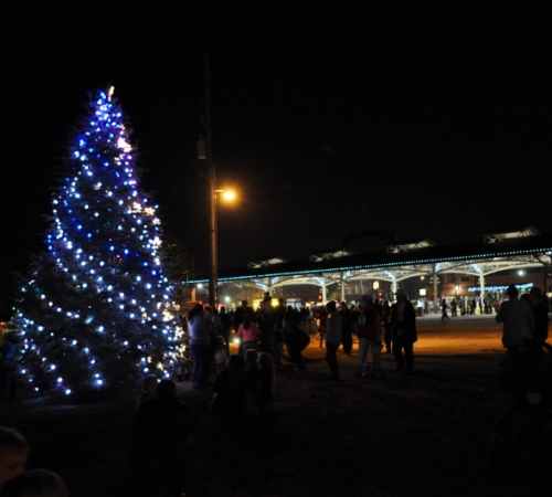 City Christmas tree lit up at Haymarket Square