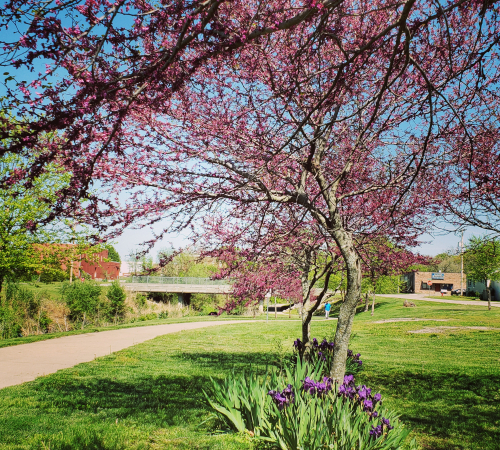 Three Mile Creek Walking Trail