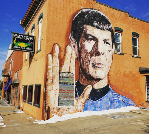 Space the Final Frontier Mural