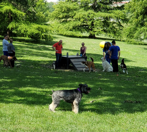 VA Dog Park