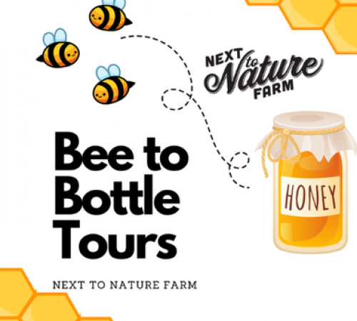 Bee-to-Bottle Tours