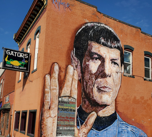 Spock Final Frontier  