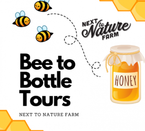 Bee to Bottle Tours