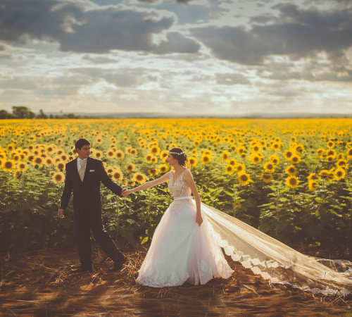 Wedding by a field of sunflowers