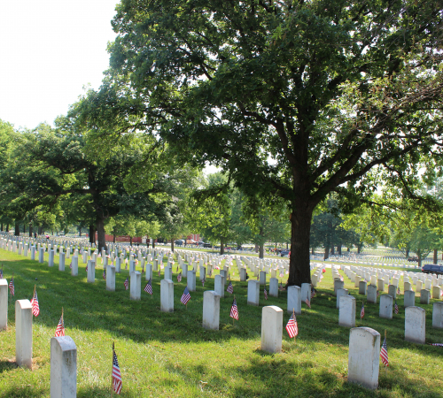 Fort Lvn Natl Cemetery