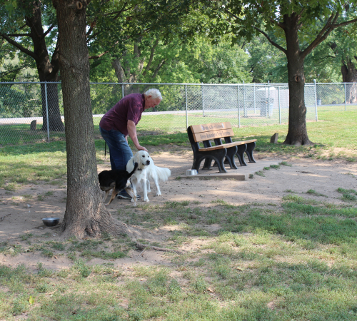 Waggin Tails Dog Park 