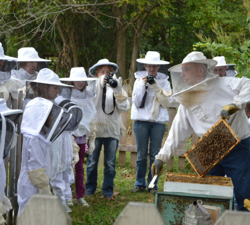 Hillside Honey Apiary