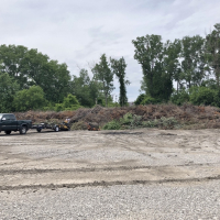 Vehicles dropping off branches at the brush site.