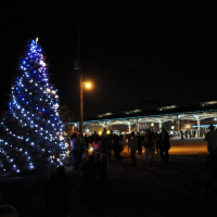 City Christmas tree lit up at Haymarket Square