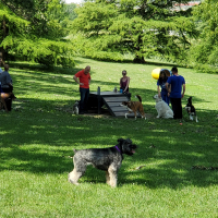 VA Dog Park