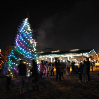 Mayor's Holiday Tree Lighting