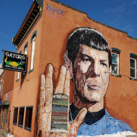 Spock Final Frontier  
