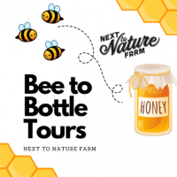 Bee to Bottle Tours