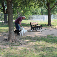 Waggin Tails Dog Park 