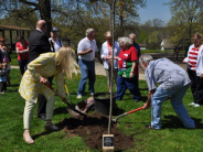 Arbor Day 2014