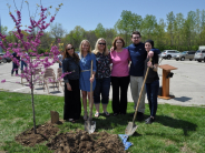 Arbor Day 2019