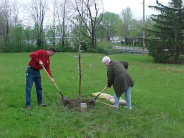 Arbor Day 2