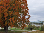 North Esplanade Park fall