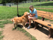 Bench with Friends