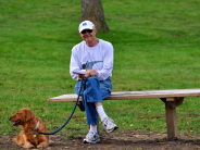 2010 Dog Park on Bench