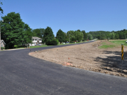 City's bioswale at 22nd and Vilas upon completion - a flash flood at this site caused $100,000 worth of street damage in 2015