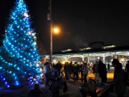 conifer tree lit with string of blue lights at night