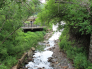 Three-mile-creek Trail 2022