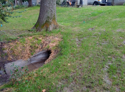 Storm water intake drain near tree