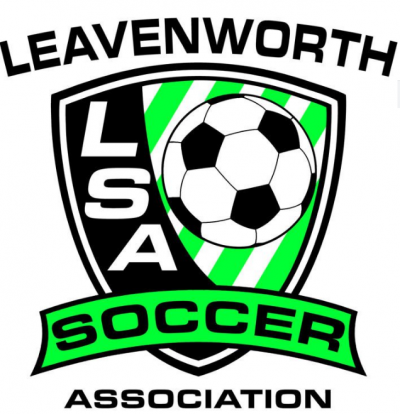 LSA Logo