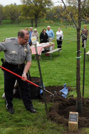 Legacy Tree