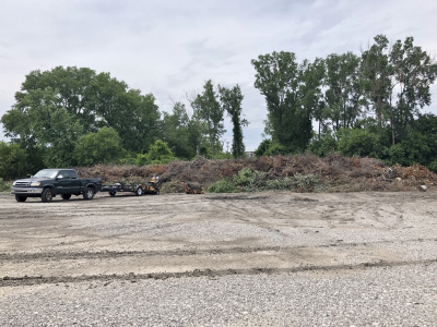 Vehicles dropping off branches at the brush site.