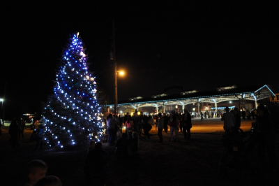 City Christmas tree lit up at Haymarket Square