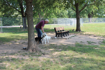 Waggin Tails Dog Park 