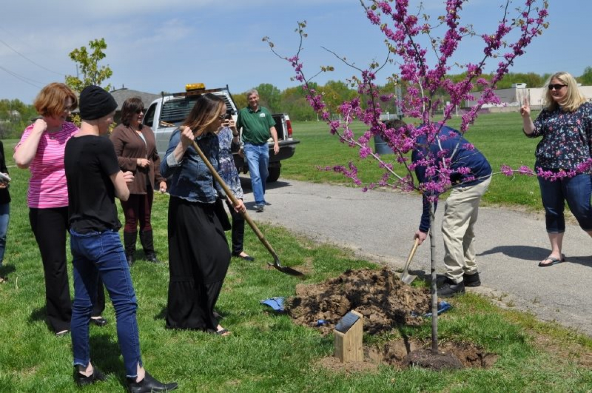 2019 Arbor Day Tree