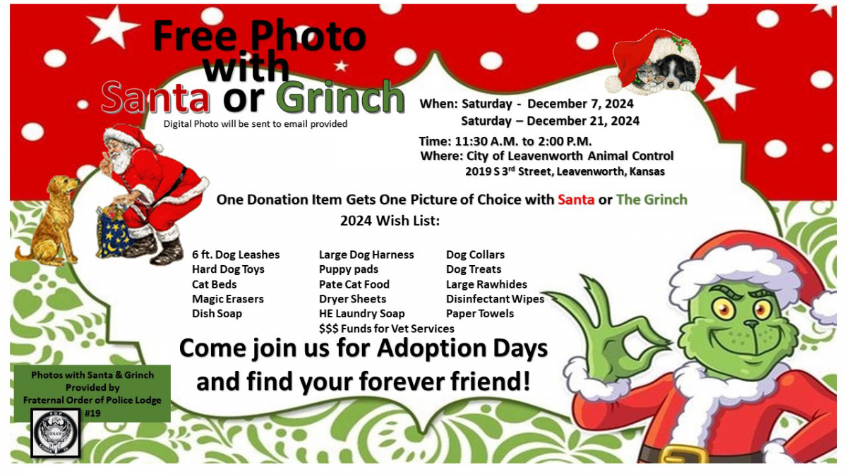 Flyer reads text below with images of Santa and the Grinch in red and green