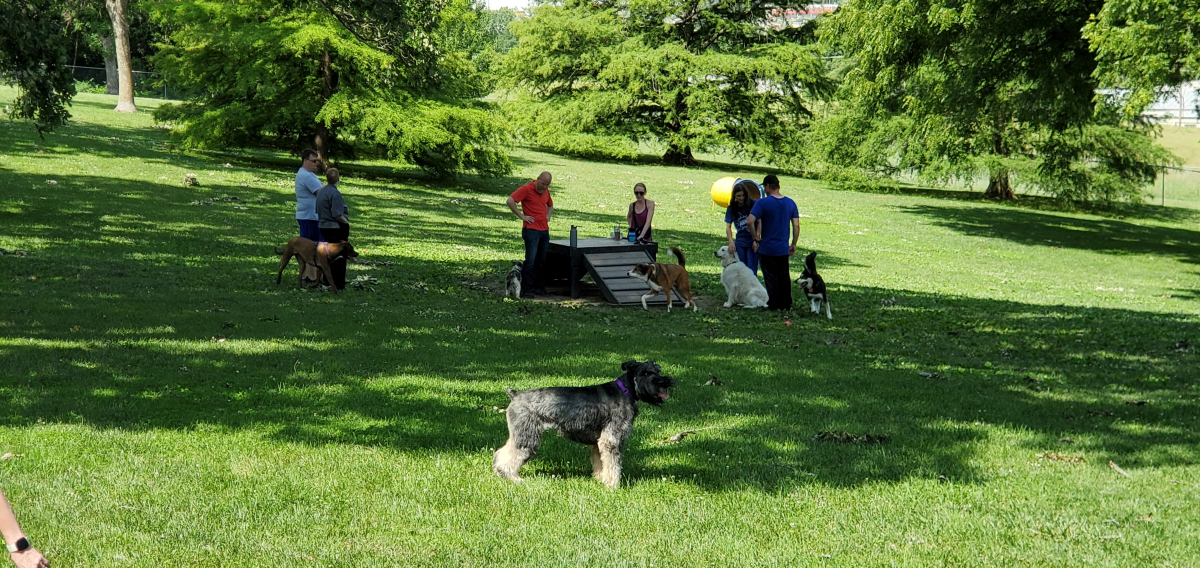 VA Dog Park VA Dog Park